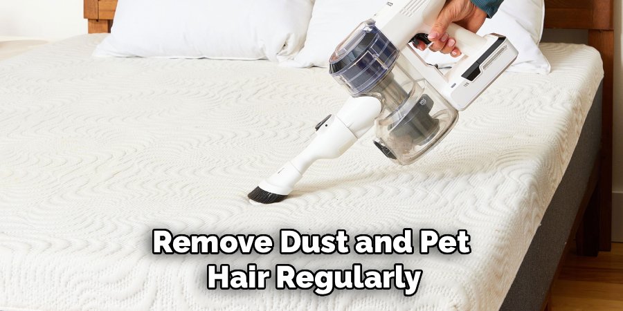 Remove Dust and Pet
Hair Regularly