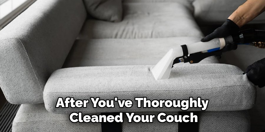 After You've Thoroughly
Cleaned Your Couch