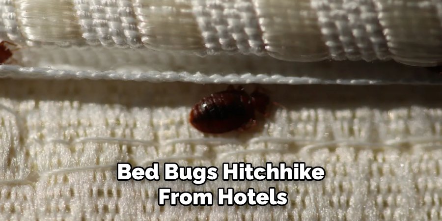 Bed Bugs Hitchhike
From Hotels