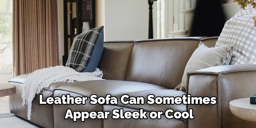 Leather Sofa Can Sometimes
Appear Sleek or Cool
