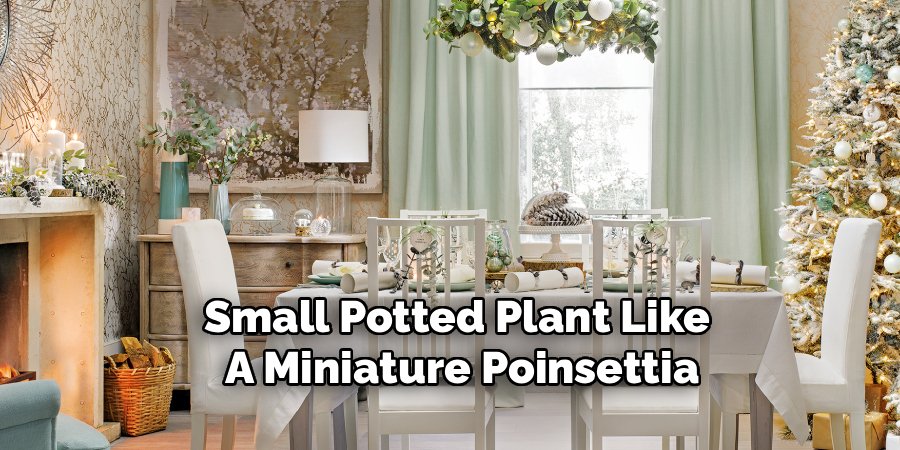 Small Potted Plant Like 
A Miniature Poinsettia