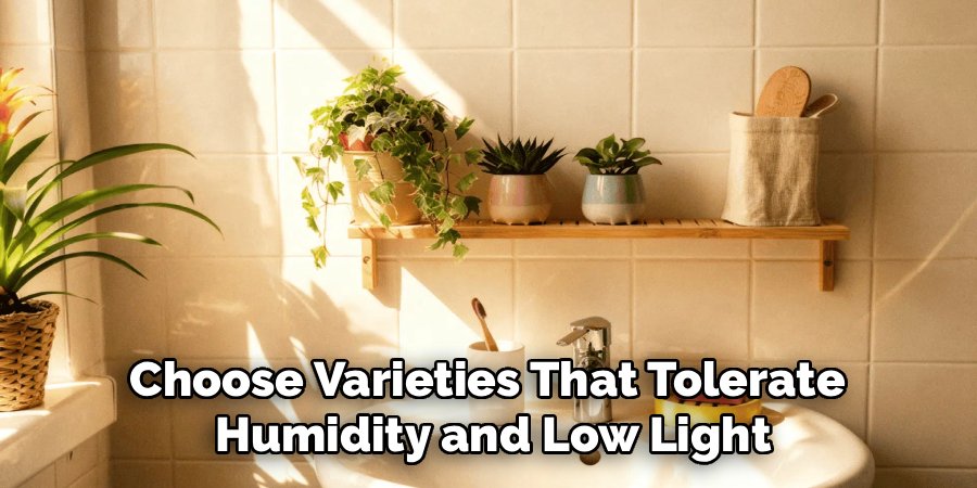 Choose Varieties That Tolerate
Humidity and Low Light