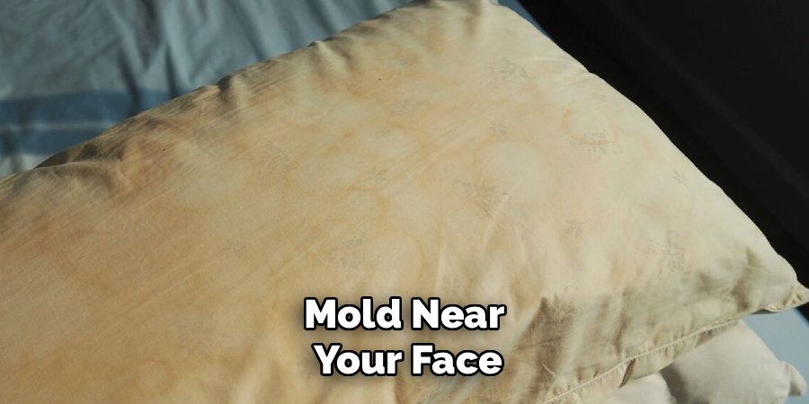 Mold Near 
Your Face