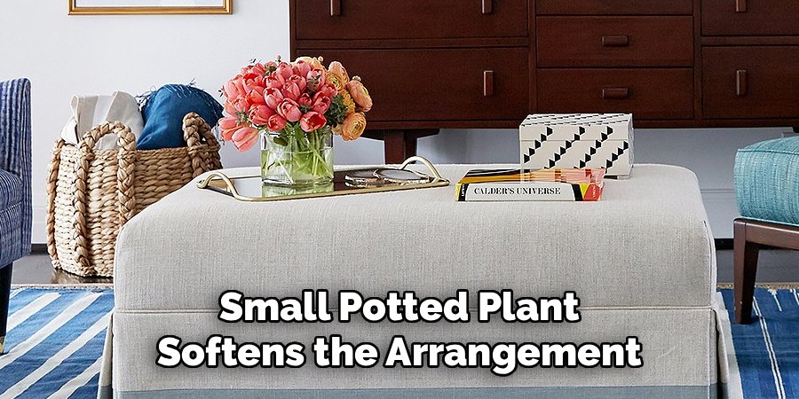 Small Potted Plant Softens the Arrangement