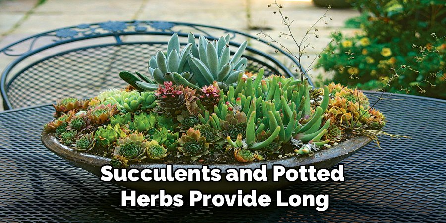 Succulents and Potted
Herbs Provide Long