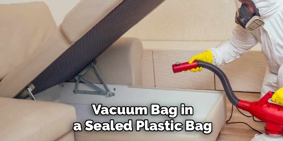 Vacuum Bag in a Sealed Plastic Bag